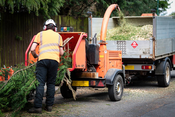 Best Firewood Processing and Delivery  in Arizona City, AZ